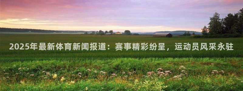 2025年最新体育新闻报道：赛事精彩纷呈，运动员风采永驻