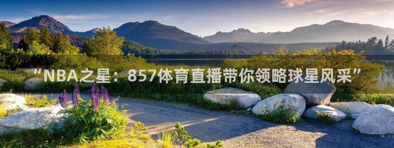 “NBA之星：857体育直播带你领略球星风采”