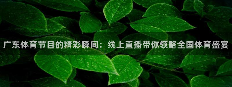 广东体育节目的精彩瞬间：线上直播带你领略全国体育盛宴