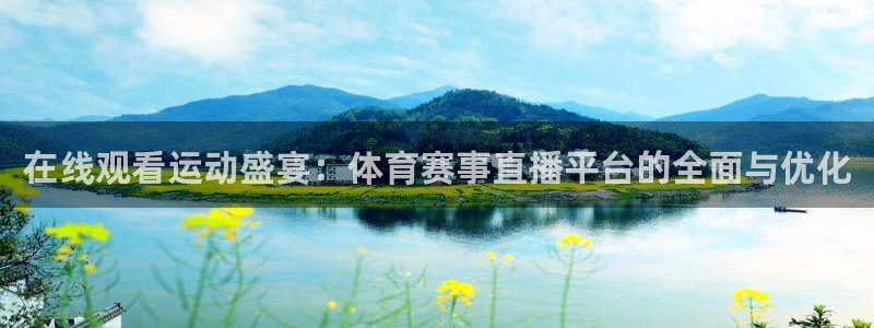 在线观看运动盛宴：体育赛事直播平台的全面与优化