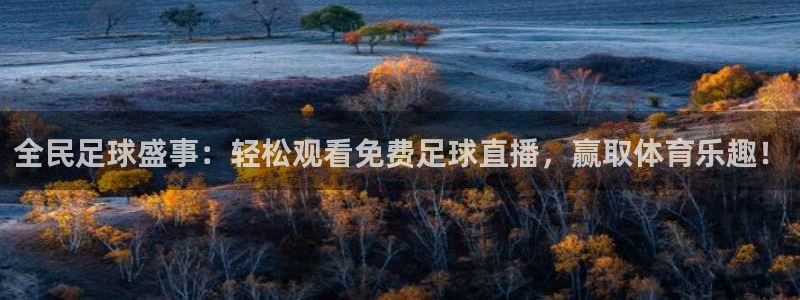 全民足球盛事：轻松观看免费足球直播，赢取体育乐趣！