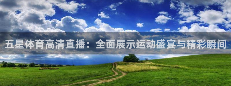 五星体育高清直播：全面展示运动盛宴与精彩瞬间