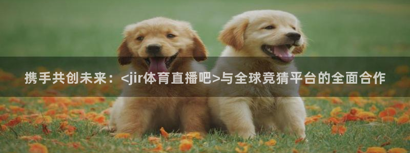 携手共创未来：<jir体育直播吧>与全球竞猜平台的全面合作