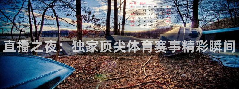 直播之夜：独家顶尖体育赛事精彩瞬间