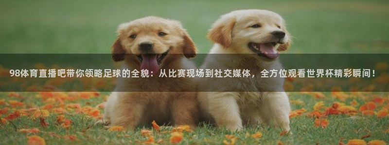 98体育直播吧带你领略足球的全貌：从比赛现场到社交媒体，全方位观看世界杯精彩瞬间！