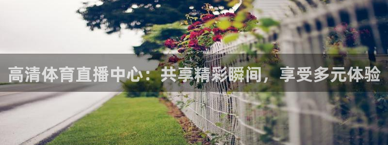 高清体育直播中心：共享精彩瞬间，享受多元体验