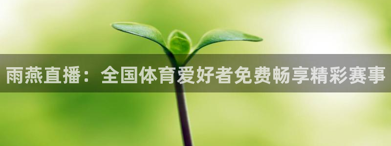 雨燕直播：全国体育爱好者免费畅享精彩赛事