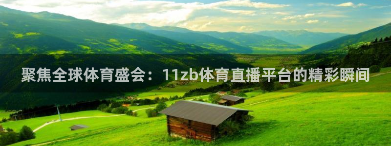 聚焦全球体育盛会：11zb体育直播平台的精彩瞬间
