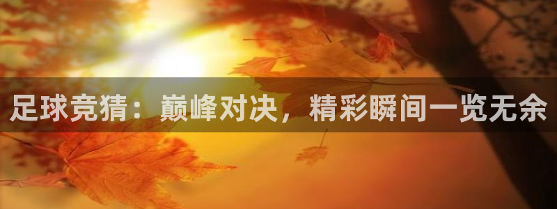足球竞猜：巅峰对决，精彩瞬间一览无余