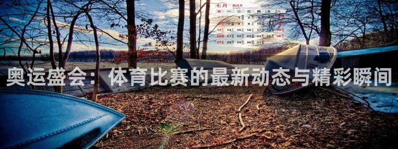 奥运盛会：体育比赛的最新动态与精彩瞬间