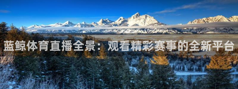 蓝鲸体育直播全景：观看精彩赛事的全新平台