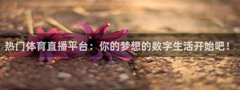 热门体育直播平台：你的梦想的数字生活开始吧！