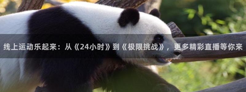 线上运动乐起来：从《24小时》到《极限挑战》，更多精彩直播等你来