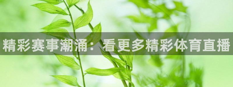 精彩赛事潮涌：看更多精彩体育直播