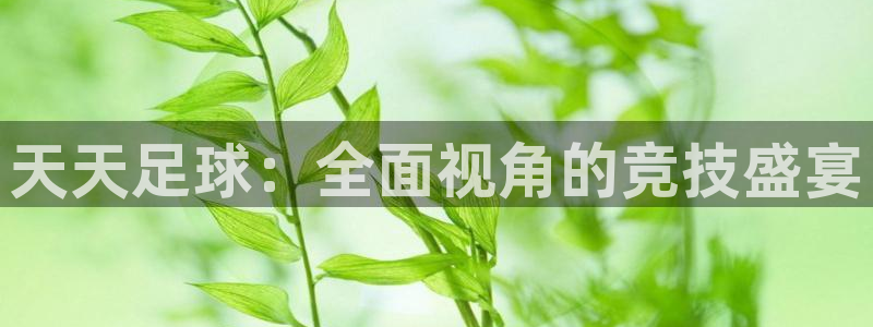 天天足球：全面视角的竞技盛宴
