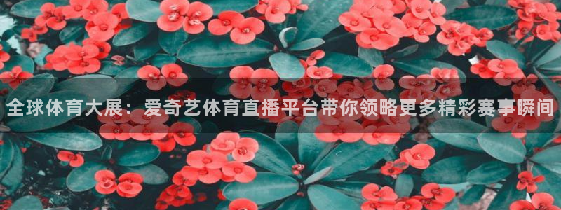 全球体育大展：爱奇艺体育直播平台带你领略更多精彩赛事瞬间