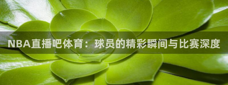 NBA直播吧体育：球员的精彩瞬间与比赛深度