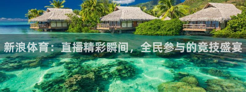 新浪体育：直播精彩瞬间，全民参与的竞技盛宴