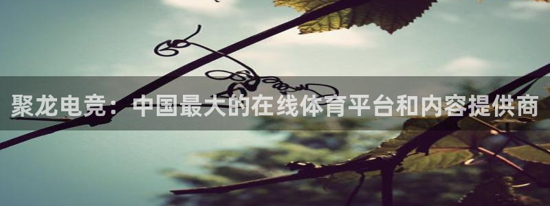 聚龙电竞：中国最大的在线体育平台和内容提供商