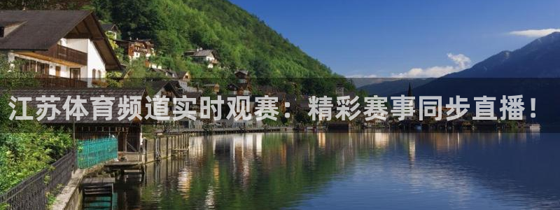 江苏体育频道实时观赛：精彩赛事同步直播！