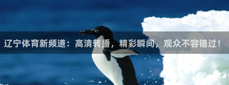 辽宁体育新频道：高清转播，精彩瞬间，观众不容错过！