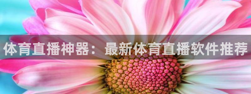 体育直播神器：最新体育直播软件推荐