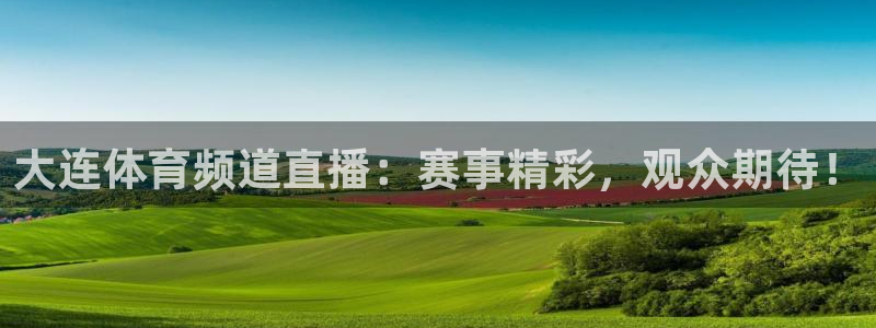 大连体育频道直播：赛事精彩，观众期待！