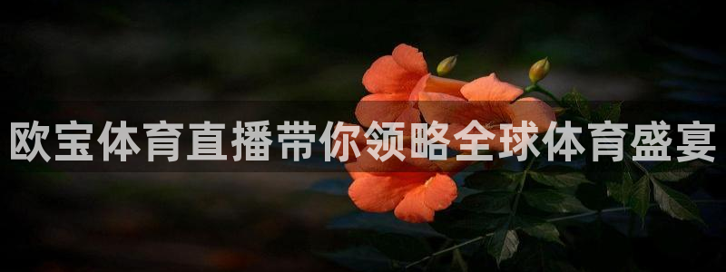 欧宝体育直播带你领略全球体育盛宴