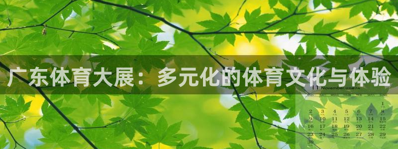 广东体育大展：多元化的体育文化与体验