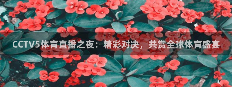 CCTV5体育直播之夜：精彩对决，共赏全球体育盛宴
