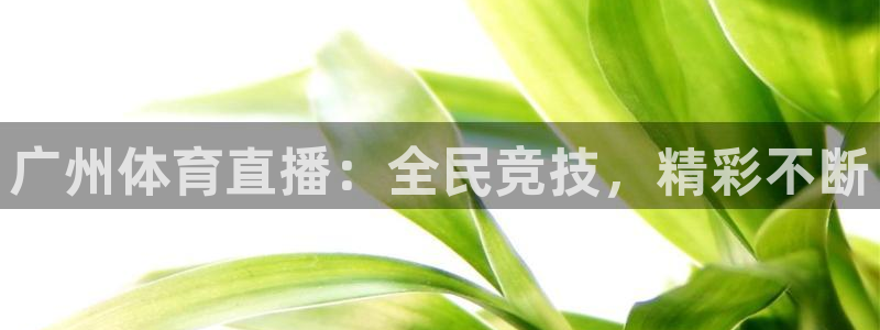 广州体育直播：全民竞技，精彩不断
