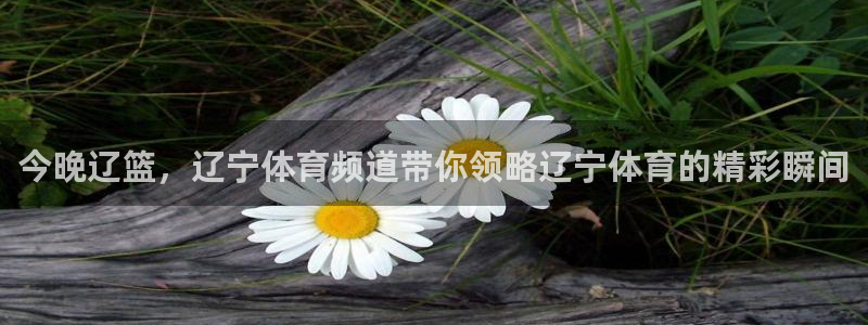 今晚辽篮，辽宁体育频道带你领略辽宁体育的精彩瞬间