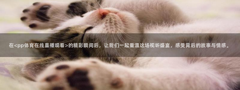 在<pp体育在线直播观看>的精彩瞬间后，让我们一起重温这场视听盛宴，感受背后的故事与情感。
