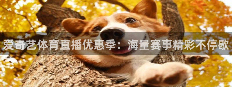 爱奇艺体育直播优惠季：海量赛事精彩不停歇