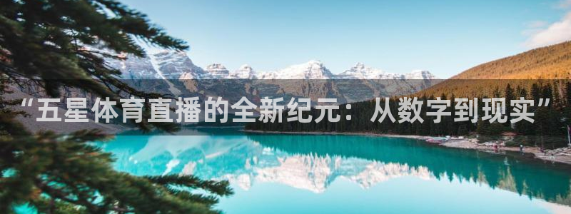 “五星体育直播的全新纪元：从数字到现实”