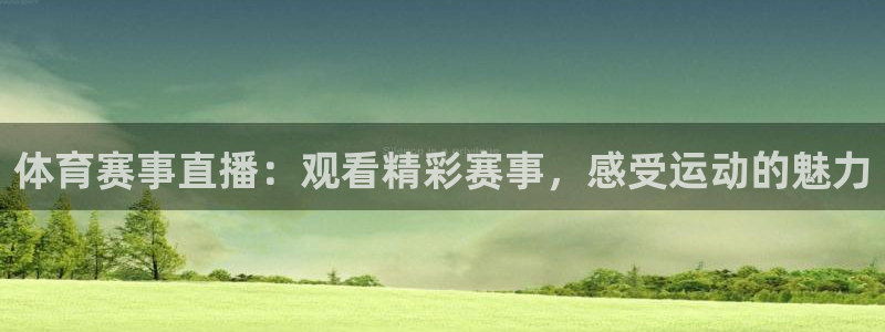 体育赛事直播：观看精彩赛事，感受运动的魅力