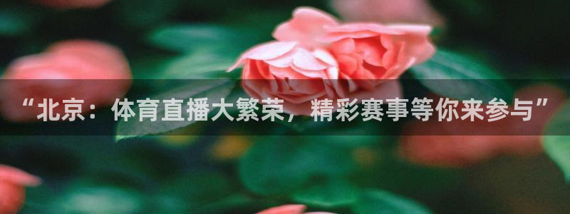 “北京：体育直播大繁荣，精彩赛事等你来参与”