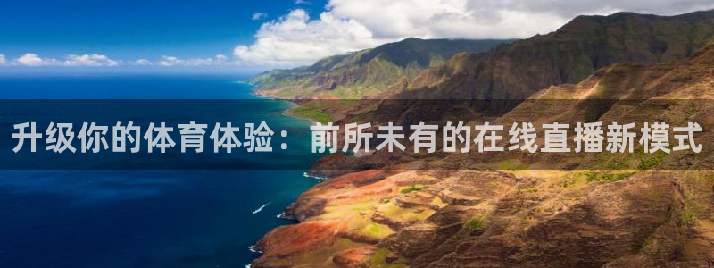 升级你的体育体验：前所未有的在线直播新模式