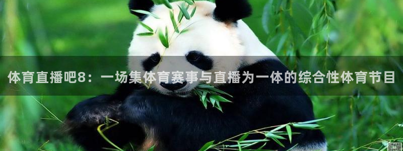 体育直播吧8：一场集体育赛事与直播为一体的综合性体育节目