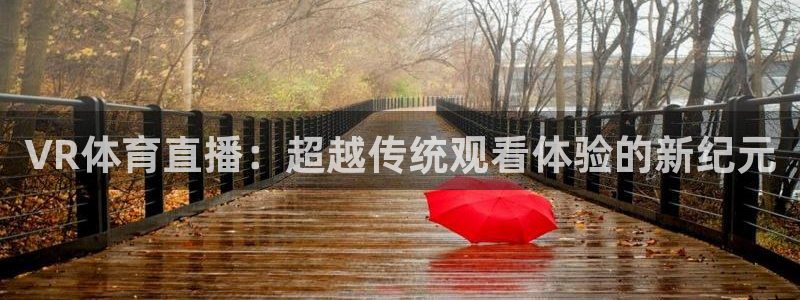VR体育直播：超越传统观看体验的新纪元