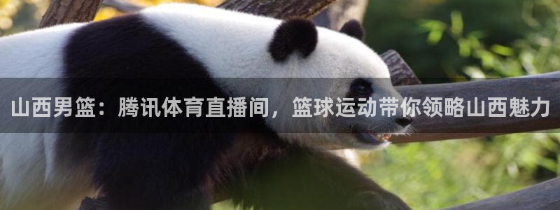 山西男篮：腾讯体育直播间，篮球运动带你领略山西魅力