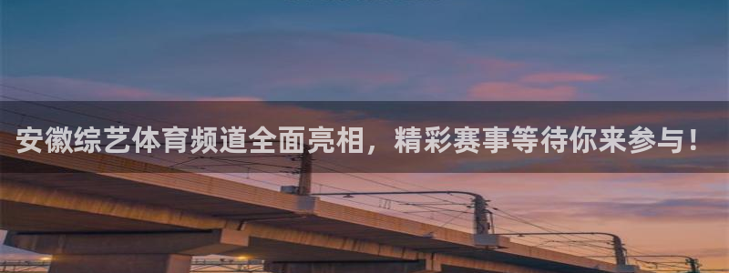 安徽综艺体育频道全面亮相，精彩赛事等待你来参与！
