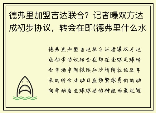 德弗里加盟吉达联合？记者曝双方达成初步协议，转会在即(德弗里什么水平)