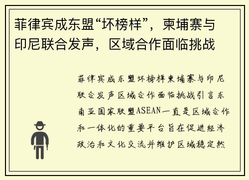 菲律宾成东盟“坏榜样”，柬埔寨与印尼联合发声，区域合作面临挑战