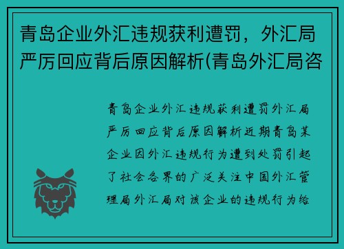 青岛企业外汇违规获利遭罚，外汇局严厉回应背后原因解析(青岛外汇局咨询电话)
