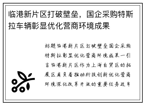 临港新片区打破壁垒，国企采购特斯拉车辆彰显优化营商环境成果