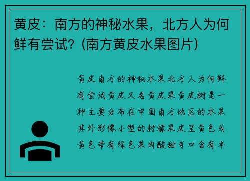 黄皮：南方的神秘水果，北方人为何鲜有尝试？(南方黄皮水果图片)