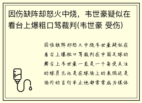 因伤缺阵却怒火中烧，韦世豪疑似在看台上爆粗口骂裁判(韦世豪 受伤)