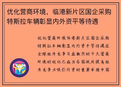 优化营商环境，临港新片区国企采购特斯拉车辆彰显内外资平等待遇