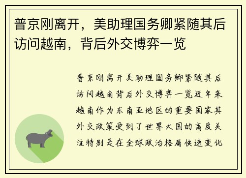 普京刚离开，美助理国务卿紧随其后访问越南，背后外交博弈一览